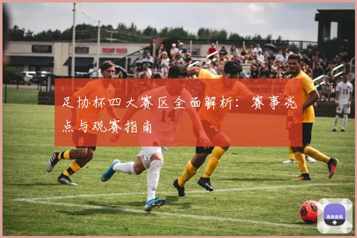足协杯四大赛区全面解析：赛事亮点与观赛指南
