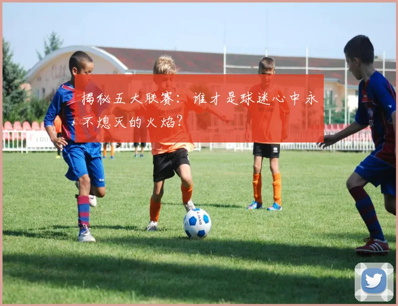 揭秘五大联赛:谁才是球迷心中永不熄灭的火焰?