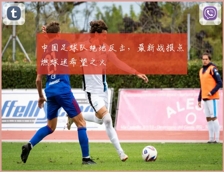 中国足球队绝地反击,最新战报点燃球迷希望之火